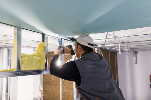 Best Insulation Installation Services in Hammond, LA